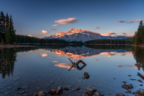 lewerta: The whole of nature in its beauty! Photo by Mark Jinks