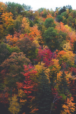  Spectrum of Fall. By: Jonah Reenders 