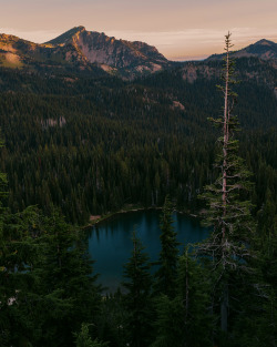 brianstowell:  Mount Rainier National Park,