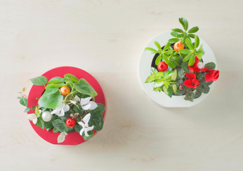 Micro-gardening by Midorie DesignSpace-saving, on-the-wall interior plant pots from Japan.