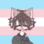 kiddie-kitty