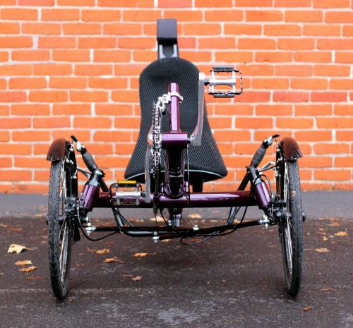 bike-challenge: prociclo: Performer TrikeX, a freshly developed tadpole. Looks promising. Source: 