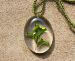 thegreenwolf:  Hey, all! So I’ve been trying out resin casting, but instead of using your typical petroleum-based resin I’ve used a resin derived from plants. I made some pendants encasing snake bones, maidenhair fern leaves and Western red cedar
