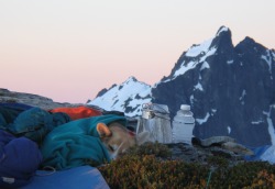 corgiaddict:The darkest hour is always just before the breakfast.