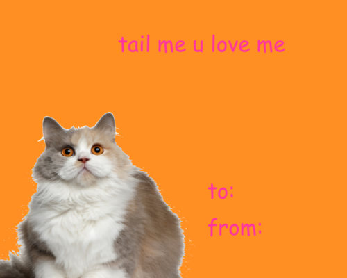 lumin4nce: someone needs to stop me valentines that will make ppl (or cats) like you (part 6/???) di