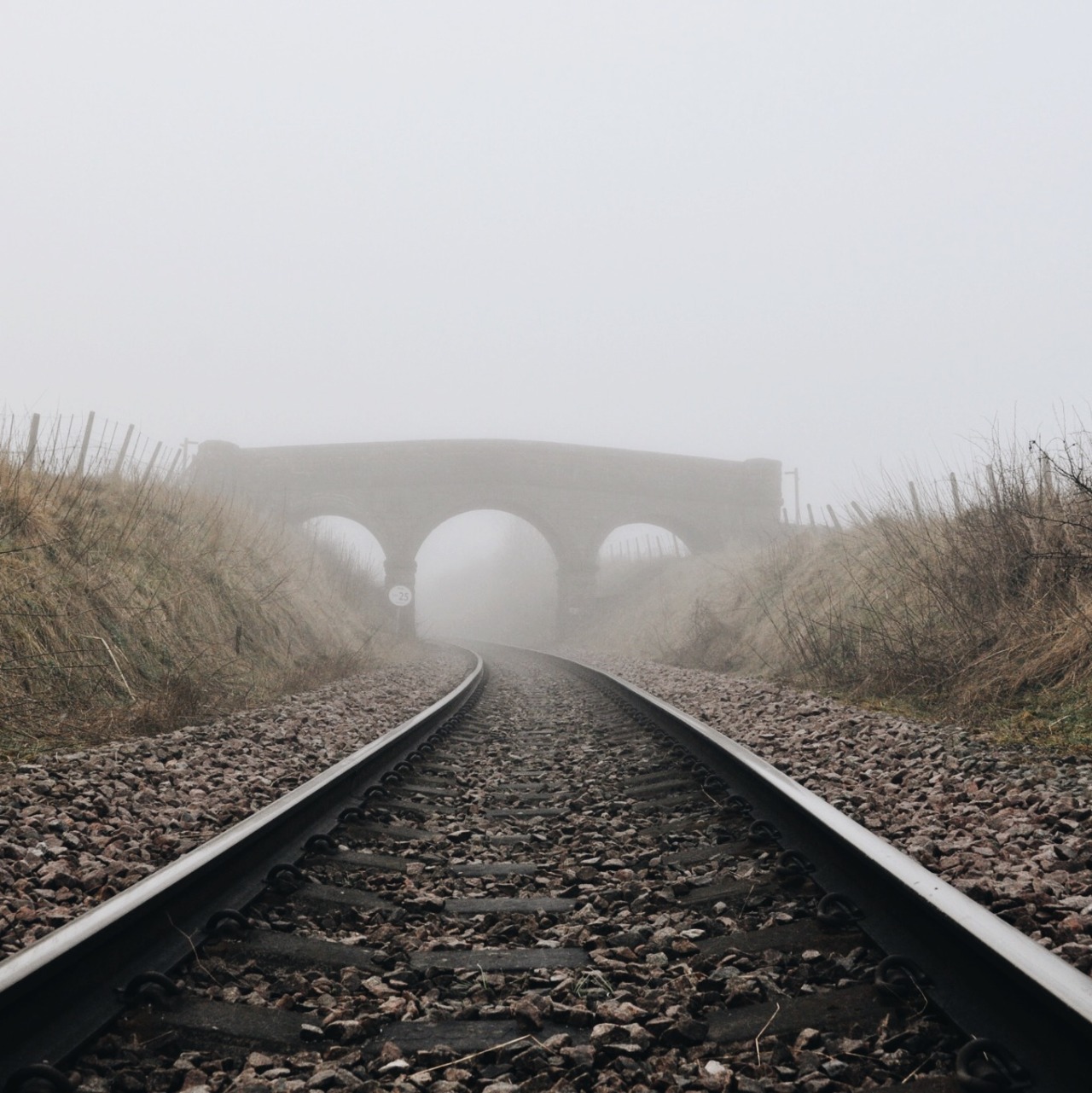 danielodowd:  http://sandraahn.vsco.co/