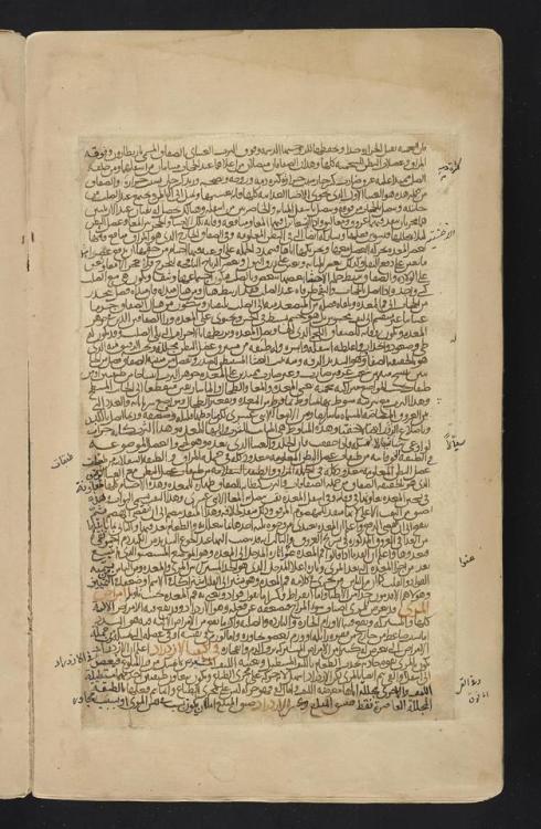 LJS 322 Fragments from Books III-V of Qānūn fī al-ṭibb. Possibly written in Iran or Turkey 