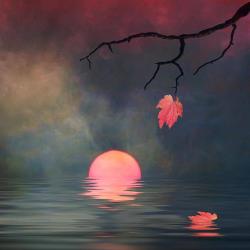 rosiesdreams:  Autumn drop By Stephen Warren  