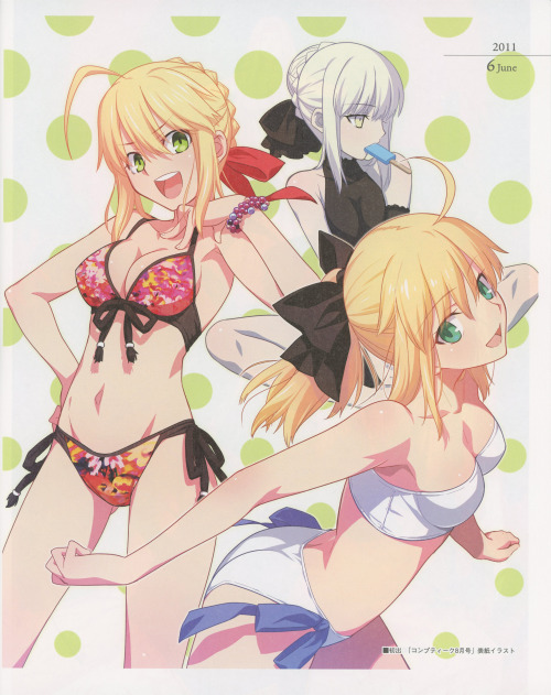 animeslovenija:  From Fate/Art Chronicle booklet, you can get it at the source, or check the complete gallery, if want to check if it’s worth it. None of this is exactly new, but you might have seen them reuploaded to image aggregators recently.