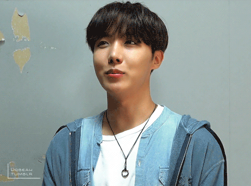 3/30 Days Of Jung Hoseok The Stay Gold MV Fit Vid Cr. Namuspromised