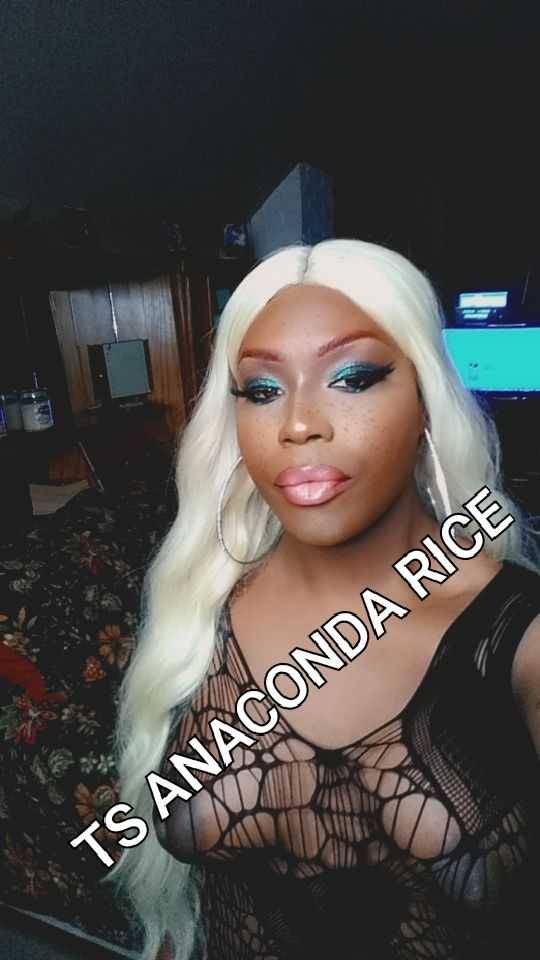 Anaconda rice ts Lisa Ann