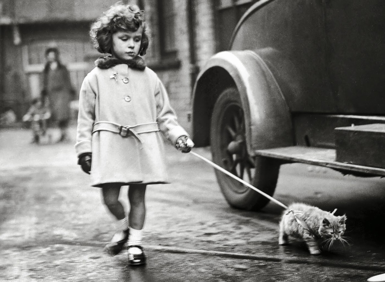 Young exhibitor arrives with her kitten on a leash at the National Cat Club Show at the Crystal Palace. London, December 2, 1931. From Fox Photos / Getty Images