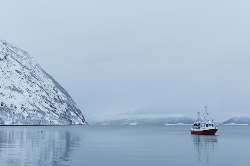 LyngenfjordN 69° 40&rsquo; 51.1782&quot; W 20° 15&rsquo; 46.803&quot;