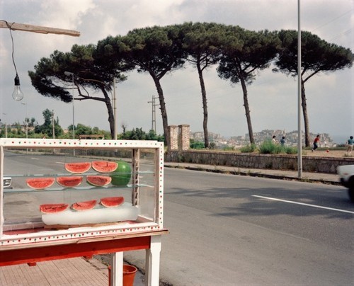  Charles H. TraubWatermelon - Naples, 1981