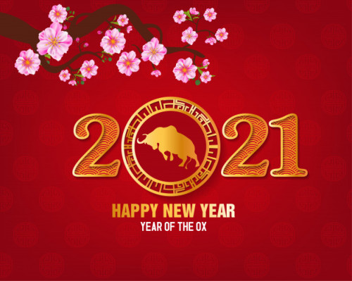 Happy Chinese new year 2021!!!