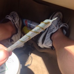 weedporndaily:  Straight indica stick! Sour cheese and exodus spirals for this road trip up to @jeckle_daboritree @daboritree with @bigshefry by budgood http://ift.tt/1ooqqXX