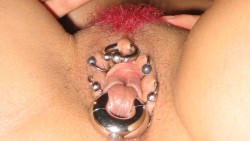 pussymodsgalore  A pierced pussy with rings.