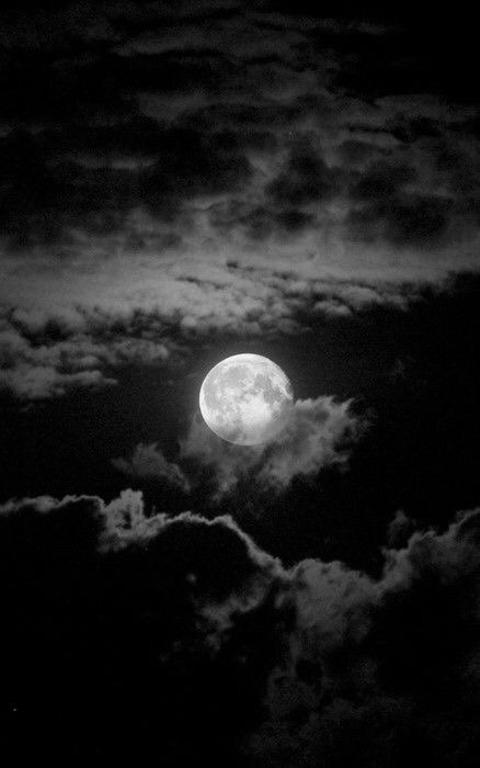 avonsarmy: Wow talk about moonshine