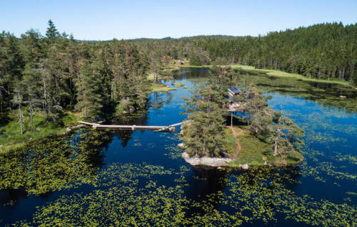 utwo:  Treehouse in Vest-Agder, Norway© hamaca reise