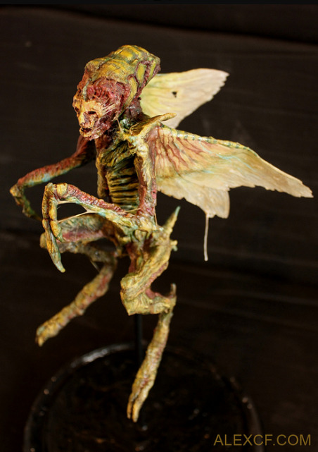 The unique collection of specimens of Crypto-naturalist, Fringe Zoologist and Xeno -Archeologist Tho