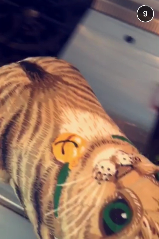 enchantedwonderlaand: CALVIN POSTED THIS ON HIS SNAPCHAT STORY TODAY IM LAUGHING