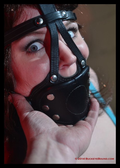 pepalfreyman:  Getting up close and personal with viciousvamp. a real cutie. :)