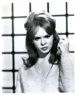 Joey Heatherton