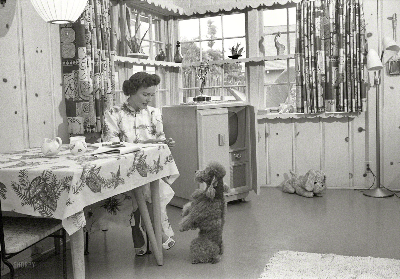 theniftyfifties:  At home with Betty White. 