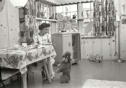 theniftyfifties:  At home with Betty White.