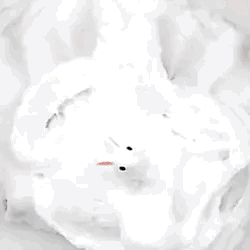 Hewwooo :3 I Love Your Stimboards !! Could I Pwease Have One Based On Sleepy Bunnies? Its What My Cg