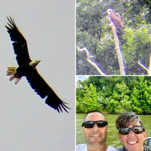  #windy #wonderful #date #day #mywife #water #woman #saturday #selfie #shoreline #baldeagle #osprey 