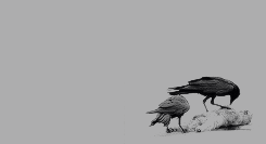 valramorghulis:                                      you don’t