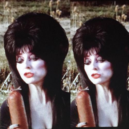 Sausage Saturday!! ❤️❤️ #queenofhalloween #elvira #elviramistressofthedark #emotd #elviramotd #hero 