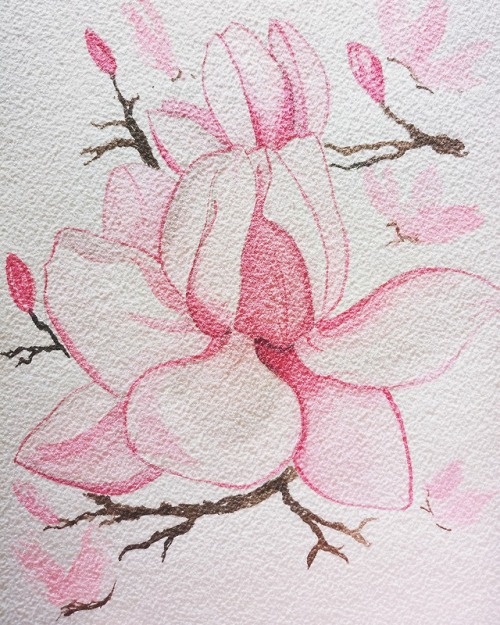 Magnolia, Watercolors 10x7′’ by Zaiguu