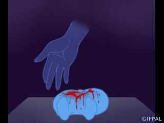 canceriousredroses:  redandblacktac:  xxkaibutsukoxx:  kittymewmyu:  askyourbestnightmare:  thecrystalfems:  iamanelemelon:  serperoir:  marcosclopezblog:  xeppeli:  ryu1964:  prpldragonart:  dajjthespoon:  killbenedictcumberbatch:  nolanthebiggestnerd: