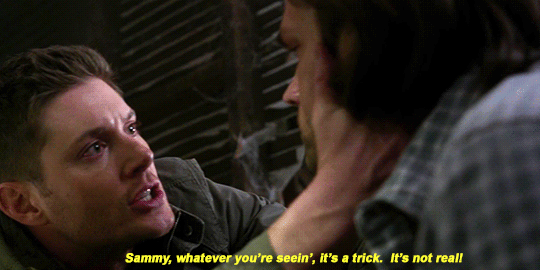 sam-and-dean-forever:  Sam and Dean  ||  10x19  ||  The Werther Project