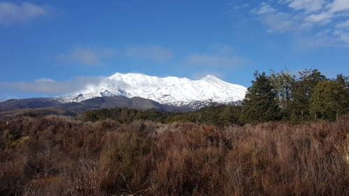 New Zealand is spectacular. My partner and I hiked around Mt Doom, swam in countless hot springs and