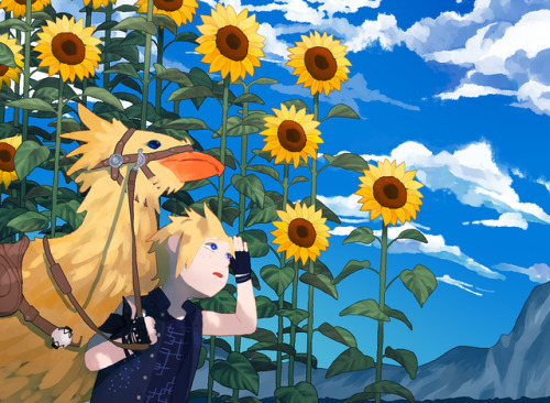 gjo413: Sunflowers for my sunshine boy