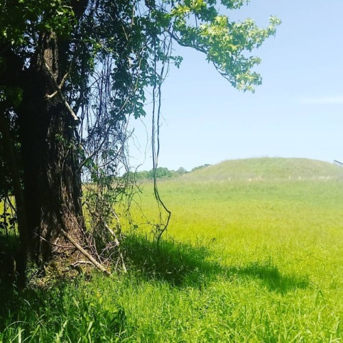 Too beautiful of a day to stay indoors. #ocmulgeenationalmonument #naturewalks #nature #hiking #hiki