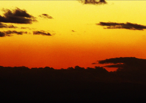 criterioncloset:My Own Private Idaho (1991) dir. Gus Van Sant