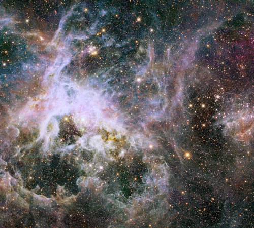 30 Doradus in the Tarantula Nebula, the brightest star-forming region in our galactic neighborhood. 