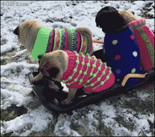 4gifs:Later dudes. No wait that looks fun, come back! [via]