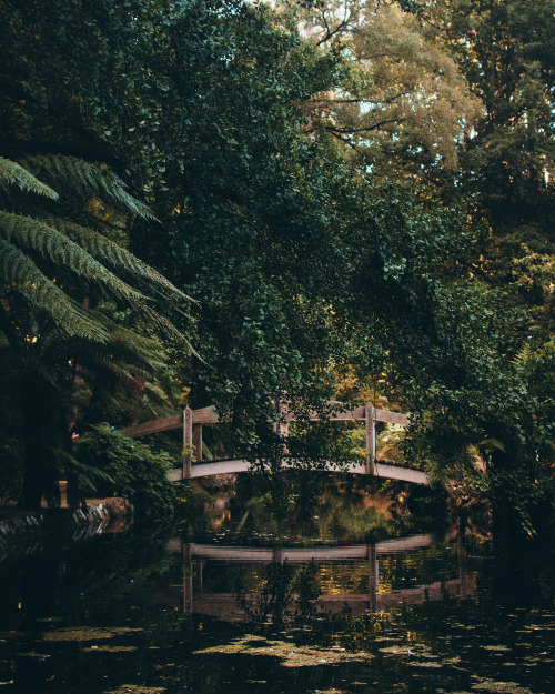 hullocolin: Alfred Nicholas Gardens, Australia Instagram | Tumblr | Website | Shop | Etsy