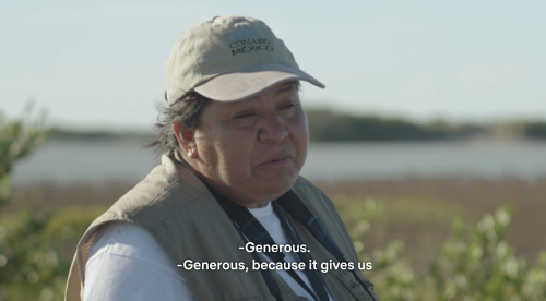 oldfilmsflicker:Birders, 2019 (dir. Otilia Portillo Padua)