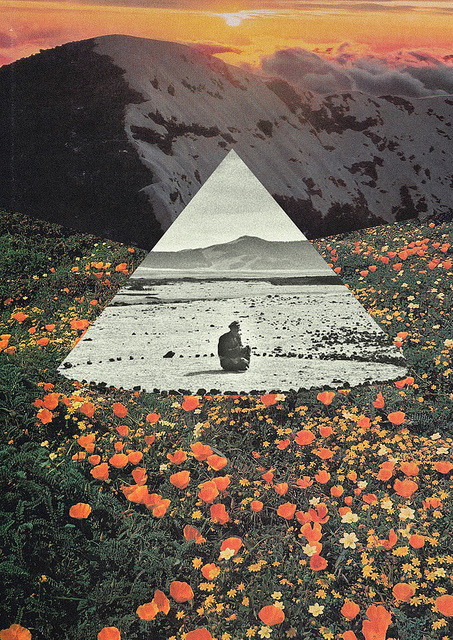 trasvorder:  Harmony with flowers on Flickr. www.facebook.com/CollagealInfinitowww.society6.com/Trasvorderwww.trasvorder.tumblr.comwww.trasvorder.bandcamp.com 