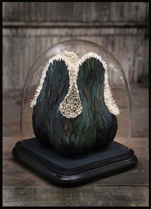 ethonydawn:art-tension:The fascinating feathers sculptures by Kate MccGwireThe fascinating sculpture