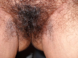 hairywomenrock:  Hairy Triangle!!! 