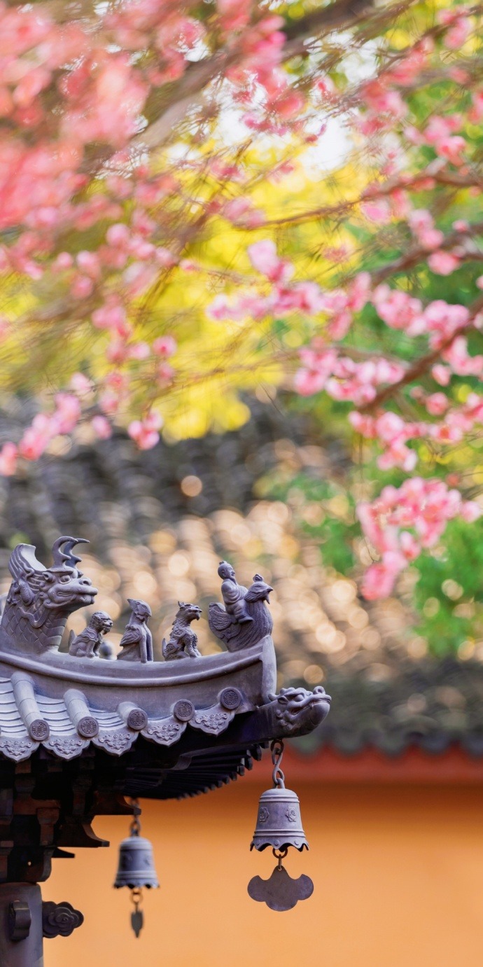 Spring Is Not Far, Tiefosi, Huzhou, Zhejiang Province In China (cr  猪甜菜的旅行手记)