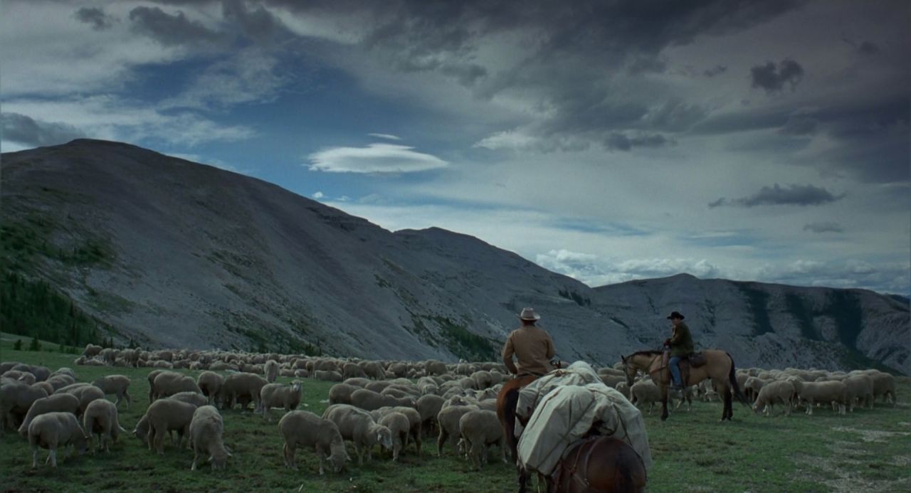 imakethemovies:  Brokeback Mountain DOP –   Rodrigo Prieto  Format -   Arricam