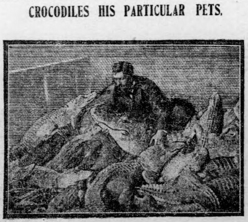 danskjavlarna:“Crocodiles his particular pets.“  From the Duluth Evening Herald, 1903. Here’s my cur